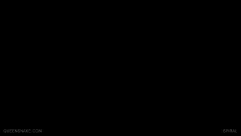 55600